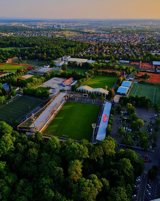 奔跑在冰城 奔跑在冰城