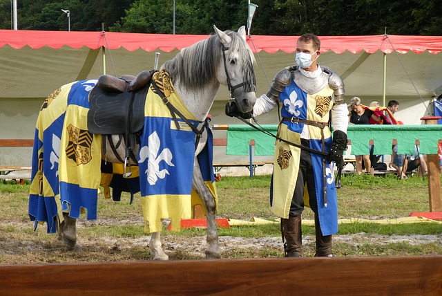 术也将因此 术也将因此