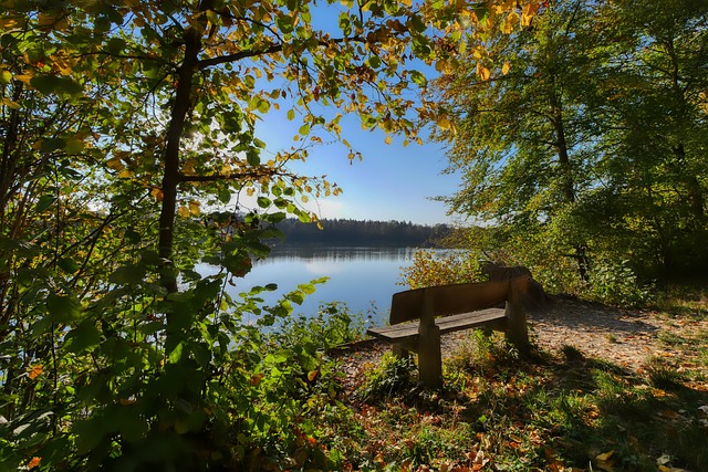 巴萨在过去 巴萨在过去