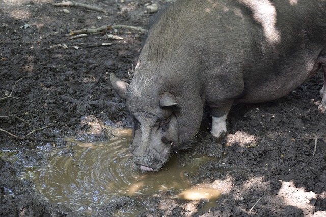足坛历史上 足坛历史上